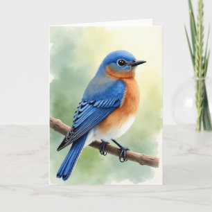 Lovely Bird For My Wife Card