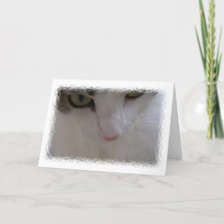 Lovely Birthday Card