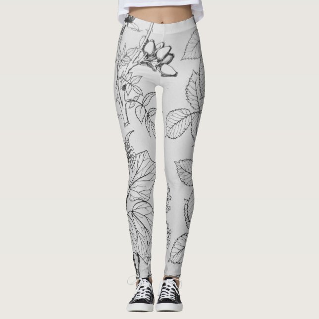 Lovely black and white etchings of leaves and pods leggings (Front)