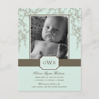 Lovely Blossoms Baby Birth Announcement (Aloe) Postcard