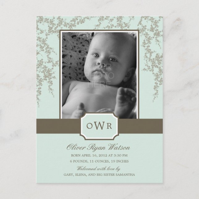 Lovely Blossoms Baby Birth Announcement (Aloe) Postcard (Front)