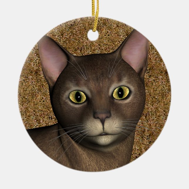 Lovely Brown Cat Ceramic Ornament (Front)