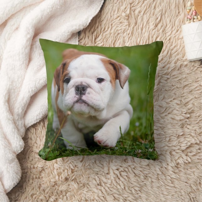 Lovely Bulldog Puppy Pillow (Blanket)