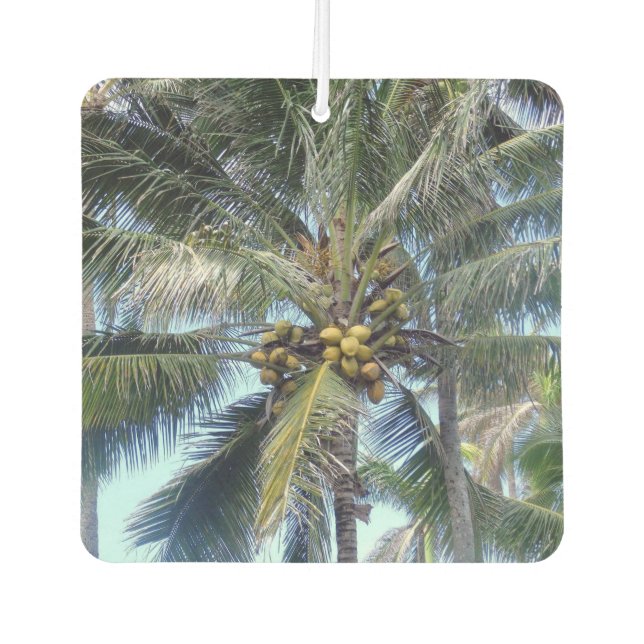 Lovely Bunch of Coconuts Car Air Freshener (Front)