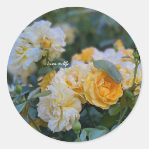 Lovely Bunches of Yellow Roses Classic Round Sticker