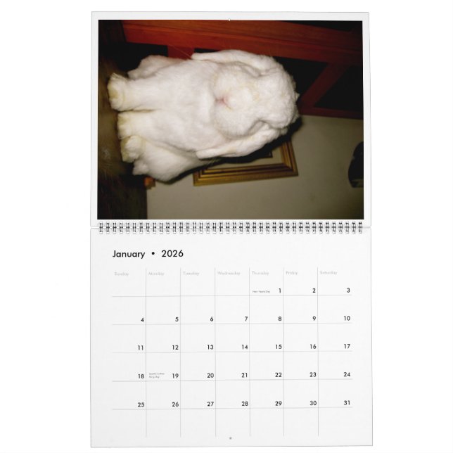 lovely bunnies calendar (Jan 2026)