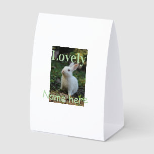 Lovely bunny rabbit pet photo name green pastel