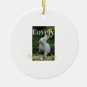 Lovely bunny rabbit pet photo name green pastel ceramic ornament
