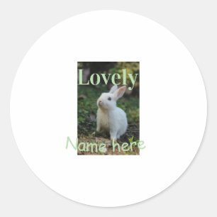 Lovely bunny rabbit pet photo name green pastel classic round sticker