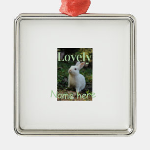Lovely bunny rabbit pet photo name green pastel  metal ornament