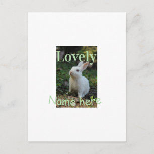 Lovely bunny rabbit pet photo name green pastel postcard