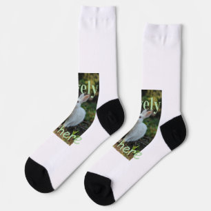 Lovely bunny rabbit pet photo name green pastel  socks