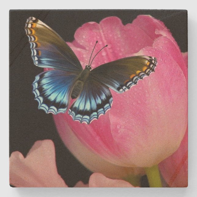 Lovely Butterfly And Flowers Sandstone Coaster (Front)