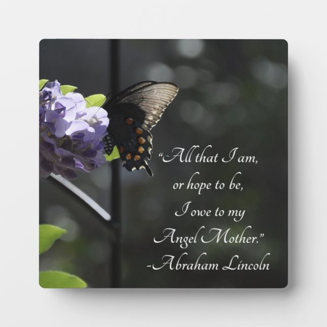 Lovely Butterfly Mother Lincoln Quote Plaque (Front)