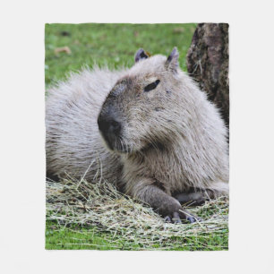 Lovely capybara fleece blanket