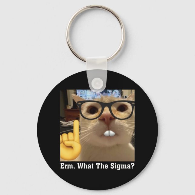 Lovely Cat Meme Clic Art Cute Kitten Erm  Key Ring (Front)