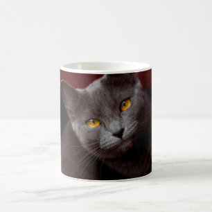 Lovely chartreux coffee mug