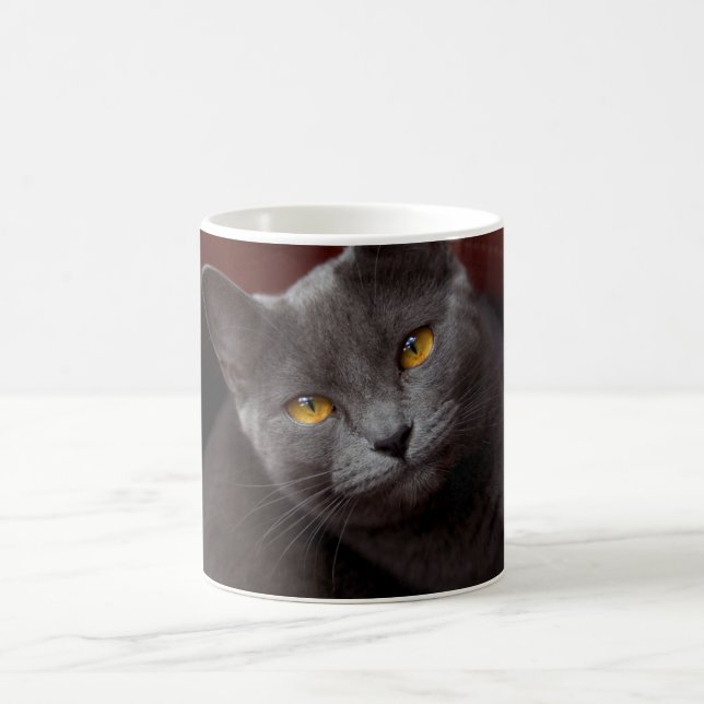 Lovely chartreux coffee mug (Center)
