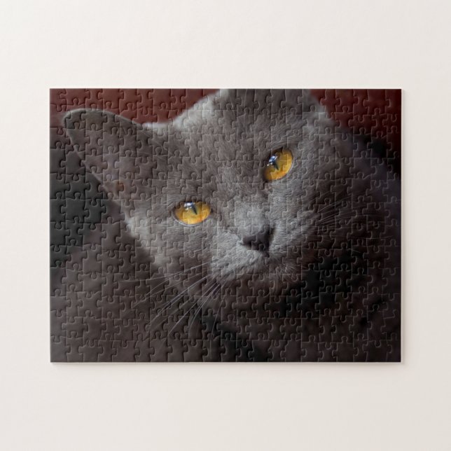 Lovely Chartreux jigsaw puzzle (Horizontal)
