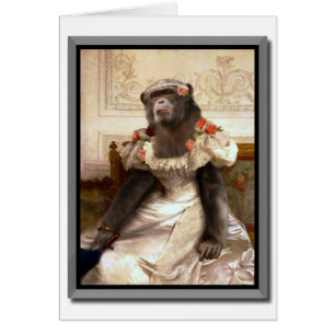 Lovely Chimp in Gown