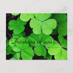 LOVELY CLOVER POSTCARD