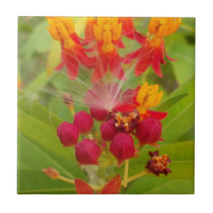 Lovely Colourful Floral with Milkweed Art Print Ceramic Tile