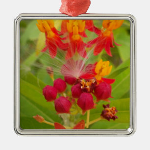 Lovely Colourful Floral with Milkweed Art Print Metal Ornament