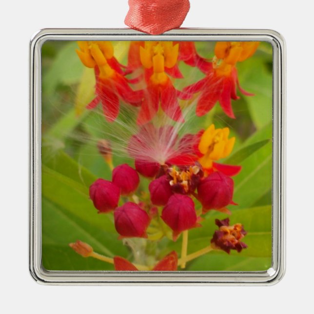Lovely Colourful Floral with Milkweed Art Print Metal Ornament (Front)