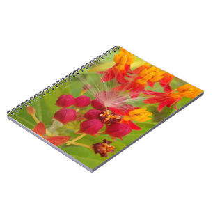 Lovely Colourful Floral with Milkweed Art Print Notebook