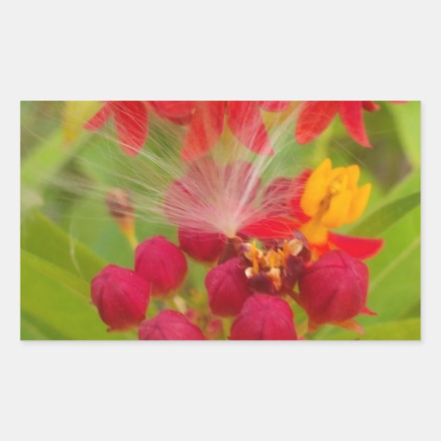 Lovely Colourful Floral with Milkweed Art Print Rectangular Sticker (Front)
