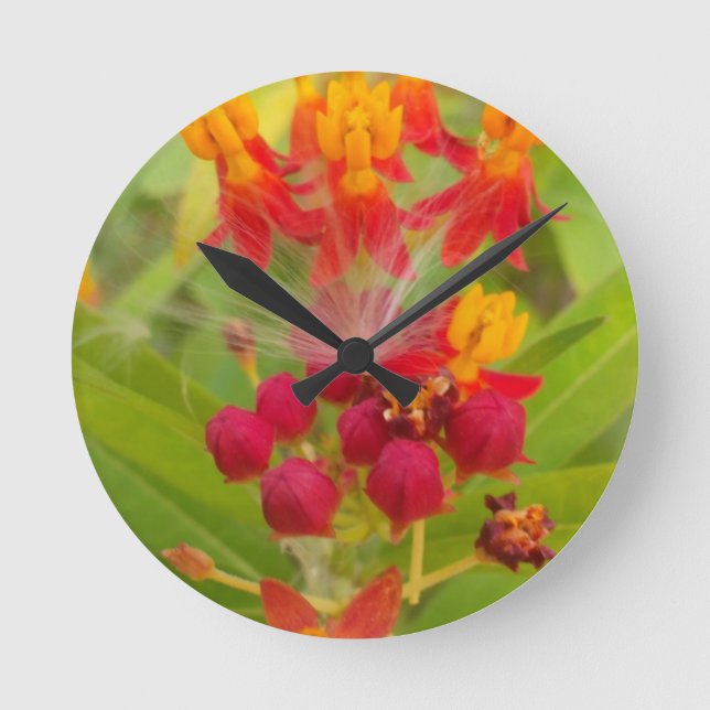 Lovely Colourful Floral with Milkweed Art Print Round Clock (Front)