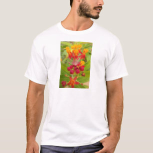 Lovely Colourful Floral with Milkweed Art Print T-Shirt