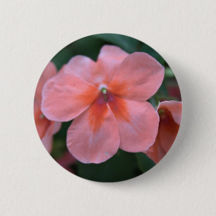 Lovely common pink garden flowers. Floral photo 6 Cm Round Badge