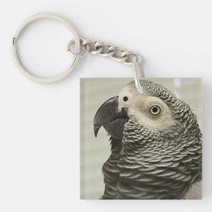 Lovely Congo African Grey Parrot Key Ring