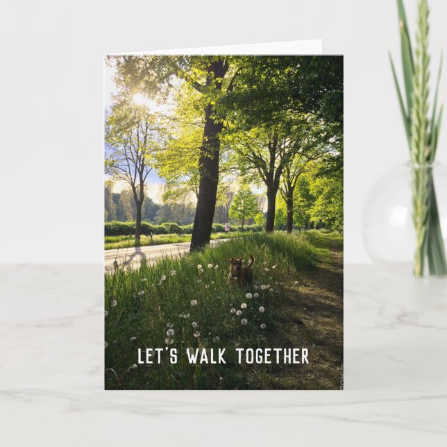 Lovely Dog Walk Landscape Card (Front)