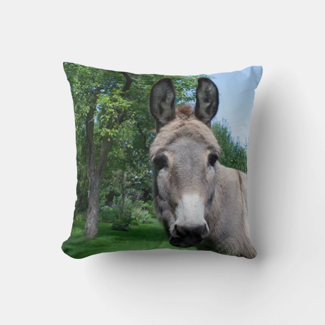 Lovely Donkey Portrait Cushion (Front)