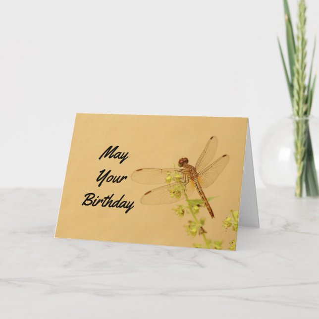 Lovely Dragonfly Birthday Card (Front)