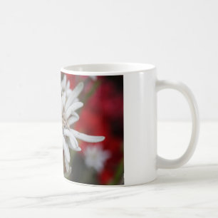 Lovely Edelweiss Leontopodium nivale Coffee Mug