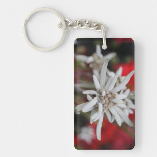 Lovely Edelweiss Leontopodium nivale Key Ring