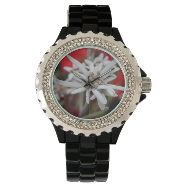 Lovely Edelweiss Leontopodium nivale Watch (Front)