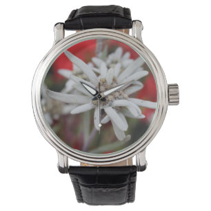 Lovely Edelweiss Leontopodium nivale Watch