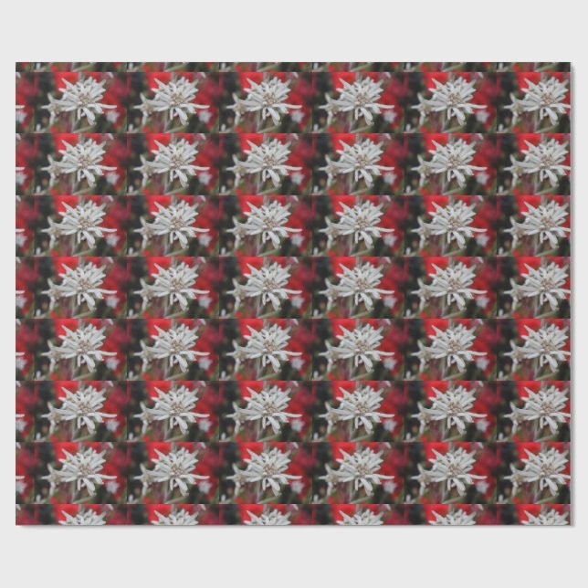 Lovely Edelweiss Leontopodium nivale Wrapping Paper (Flat)