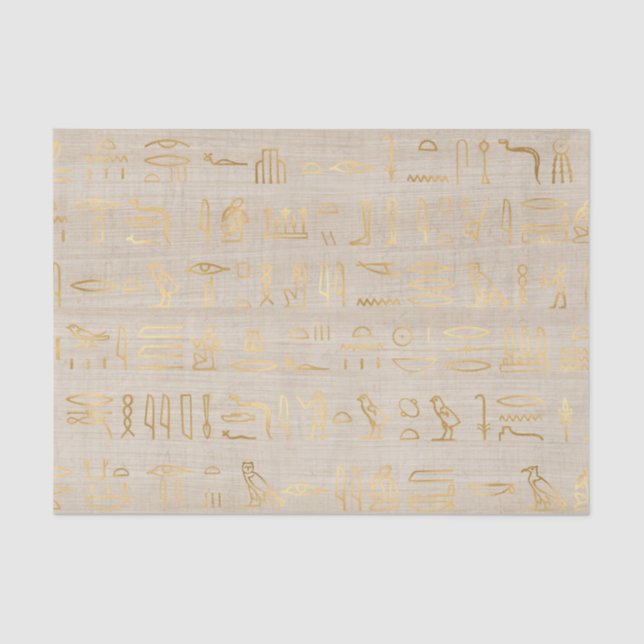 Lovely Egyptian Hieroglyphs Tissue Paper (Front)