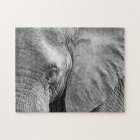 Lovely Elephant Face