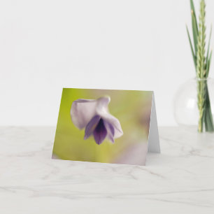 Lovely Floating Flower Blank Card