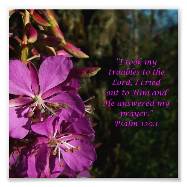 Lovely Flower Scripture Psalm 120:1 Photo Print (Front)
