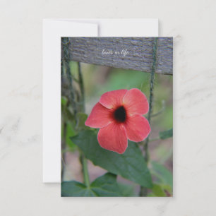 Lovely Garden Vine Card