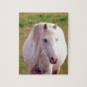 Lovely Grey Pony Jigsaw Puzzle