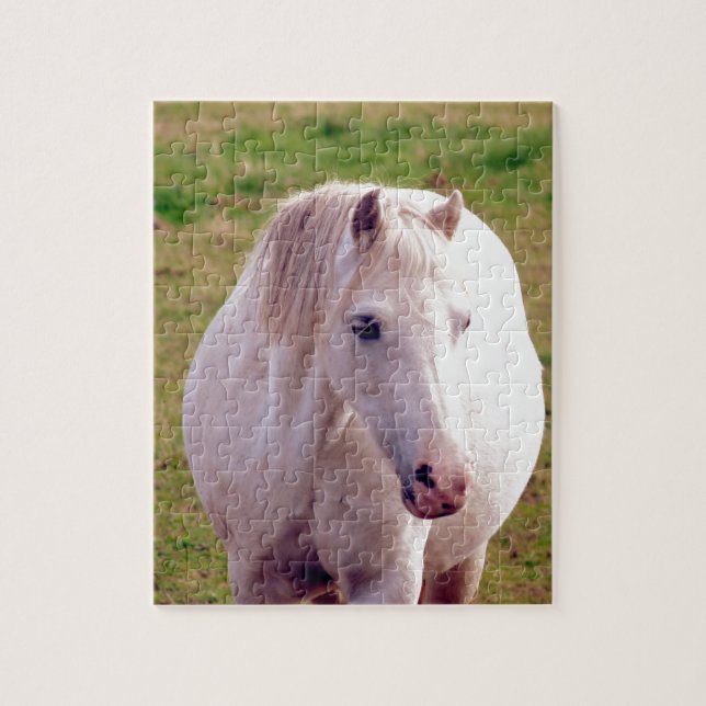 Lovely Grey Pony Jigsaw Puzzle (Vertical)