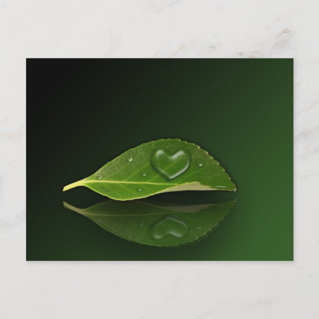 Lovely Heart-Shaped Water Droplet on Leaf Postcard (Front)
